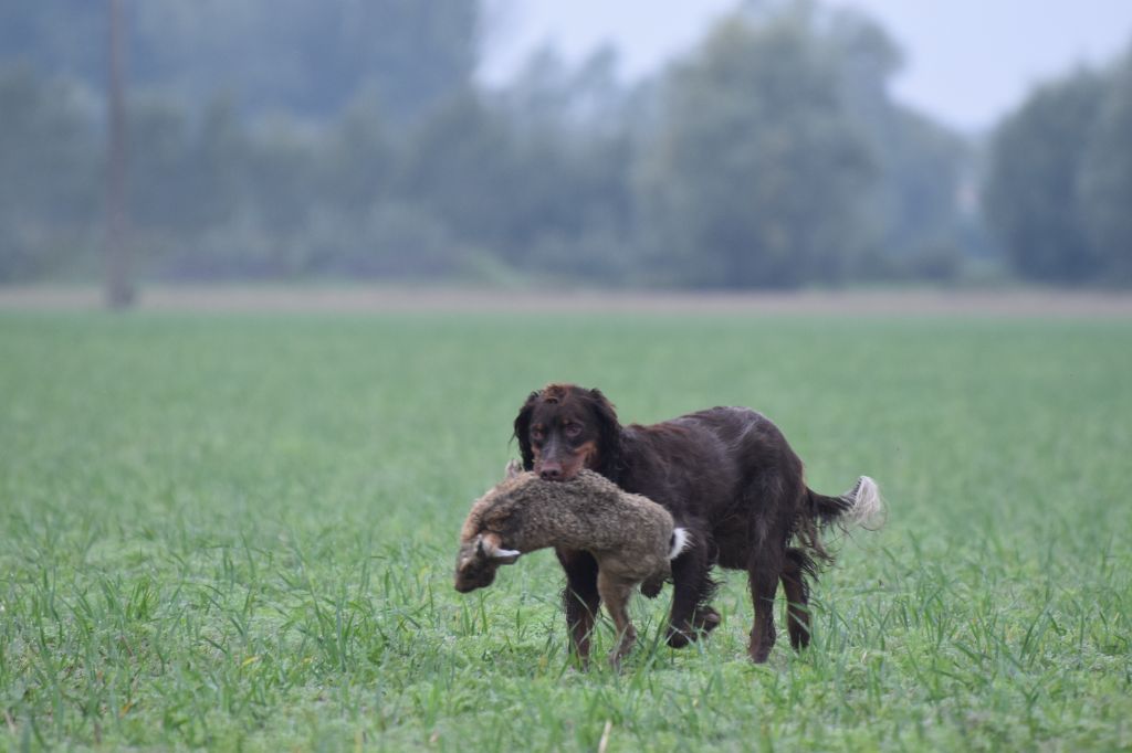 Nuxe De La Ferme De La Cendriere